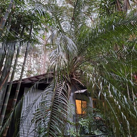 Bed and Breakfast Alaya Escape Eudlo Экстерьер фото