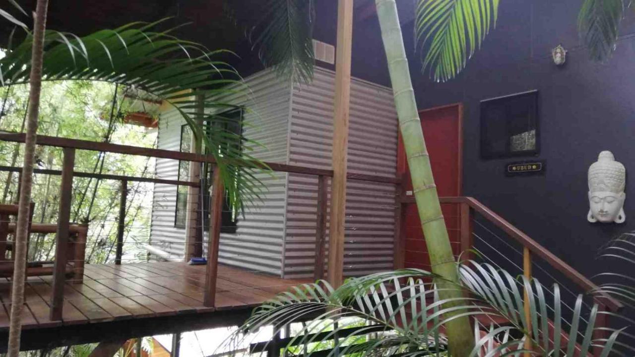 Bed and Breakfast Alaya Escape Eudlo Экстерьер фото