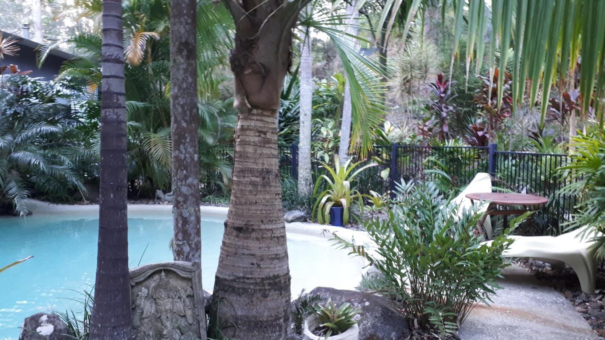 Bed and Breakfast Alaya Escape Eudlo Экстерьер фото