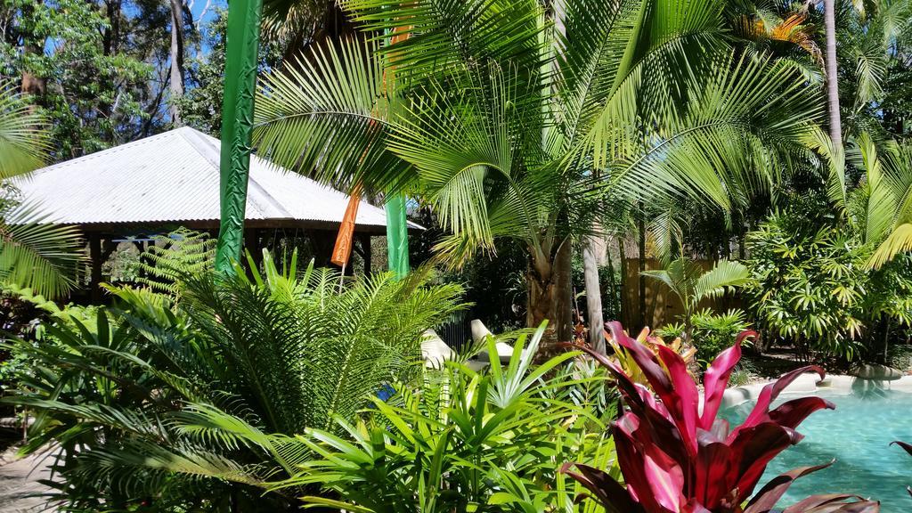 Bed and Breakfast Alaya Escape Eudlo Экстерьер фото