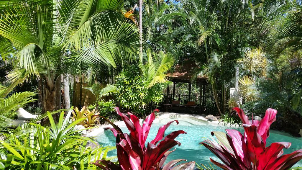 Bed and Breakfast Alaya Escape Eudlo Экстерьер фото