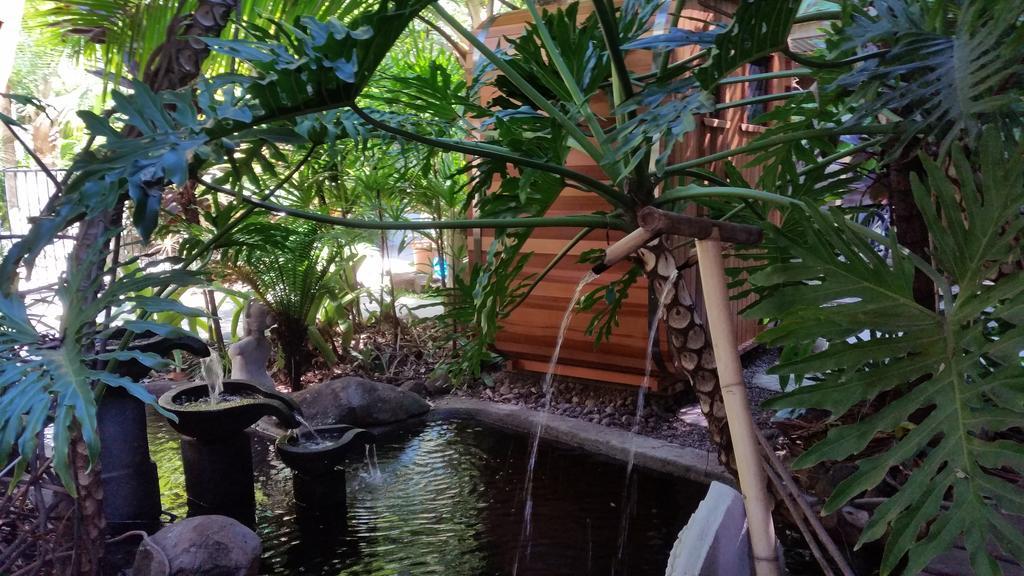 Bed and Breakfast Alaya Escape Eudlo Экстерьер фото